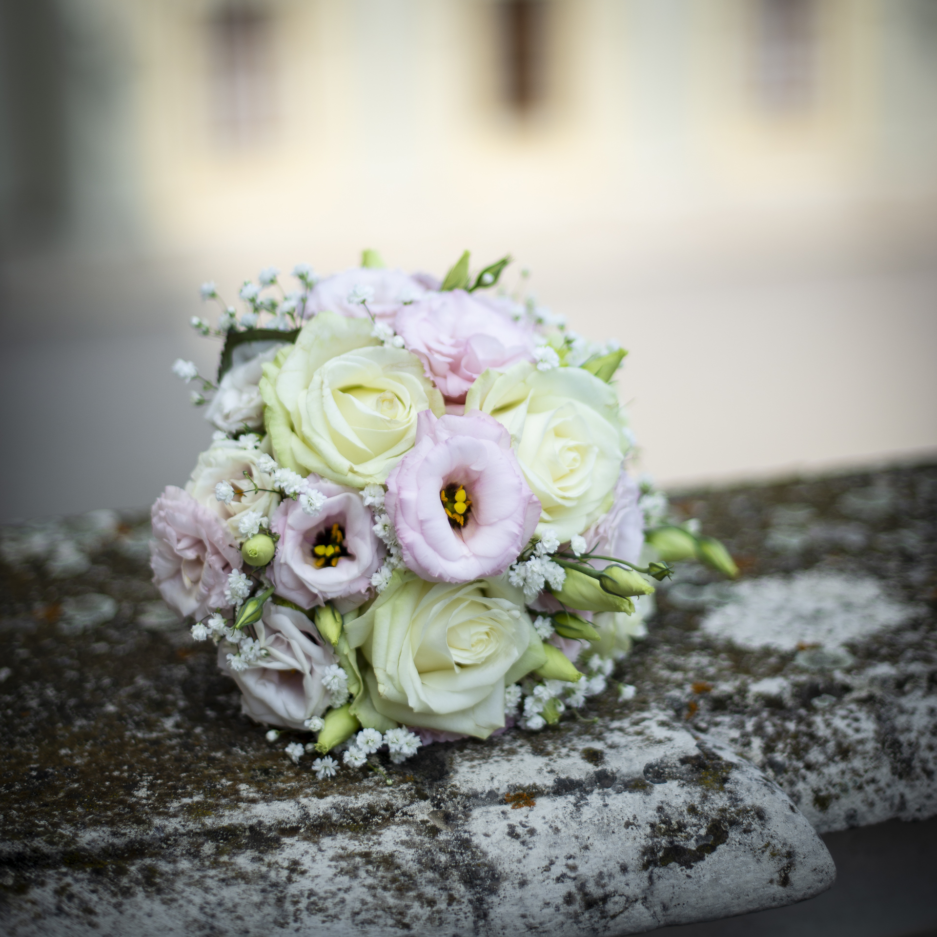 momentenfang - Hochzeitsfotograf am Bodensee